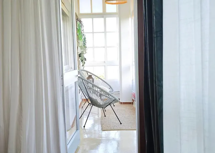 O Retiro De Bernardo Teo